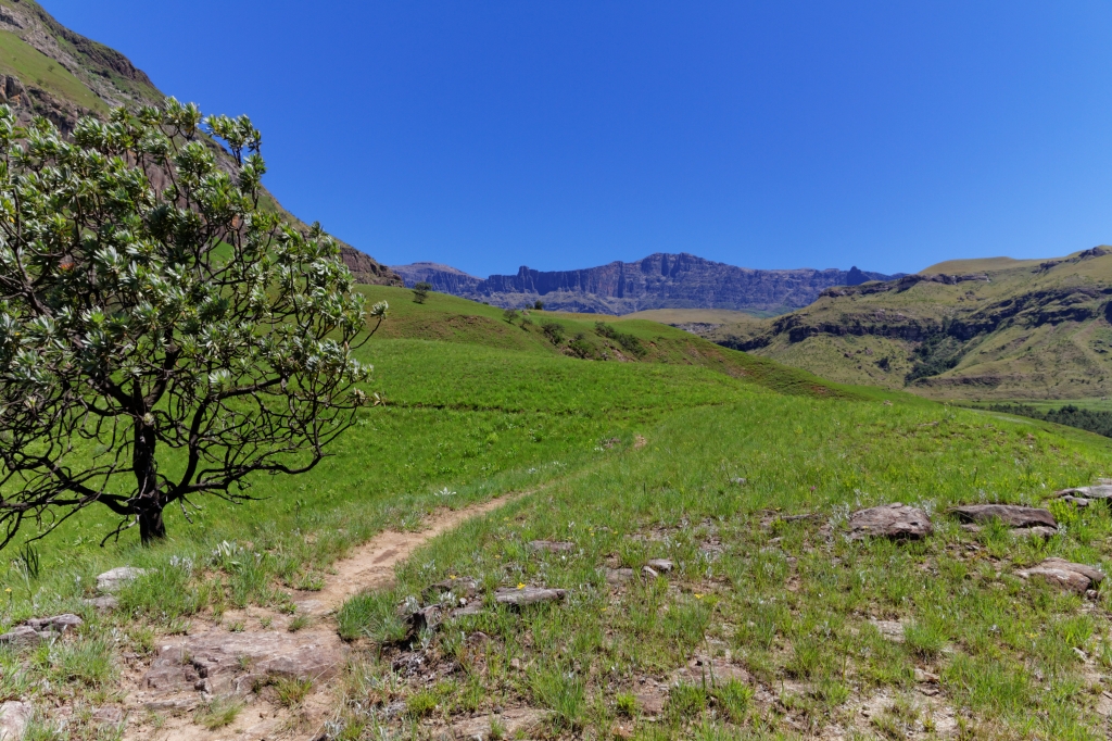 07 - Drankensberg NP (4).jpg